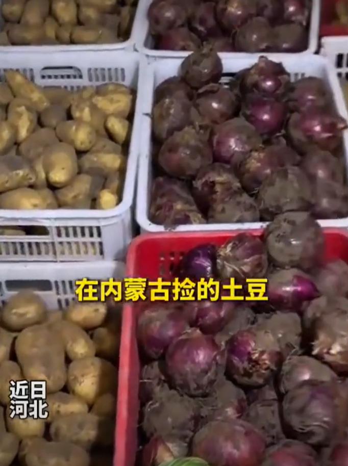 10月17日，河北省燕郊市的王女士夫妇开车自驾游，行驶至内蒙古多伦县途中，看到大