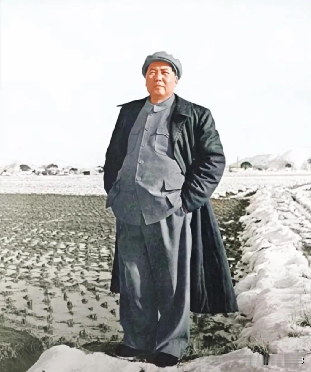 毛主席不是专研历史的，但是他是真正的历史学家，老人家看透了历史，他替秦皇翻案，替