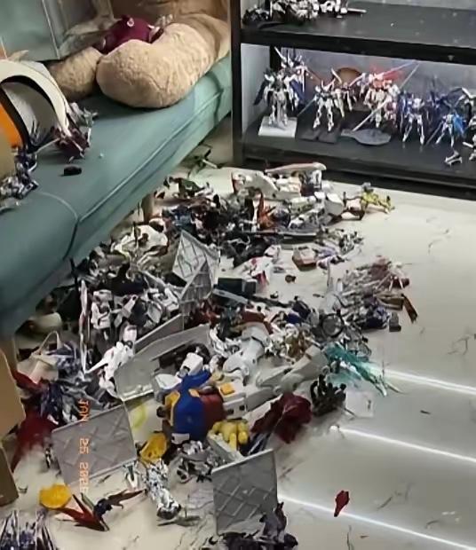 新疆，一女子生病嫌弃丈夫不关心自己，两人发生争吵，一气之下，女子冲到房间将丈夫珍