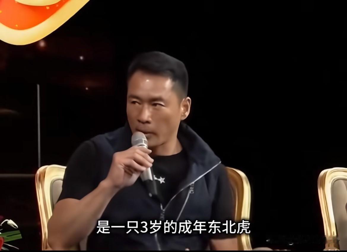 1997年拍《水浒传》里的武松打虎，居然是只3岁的真老虎。跟动物园借的，拍戏前专