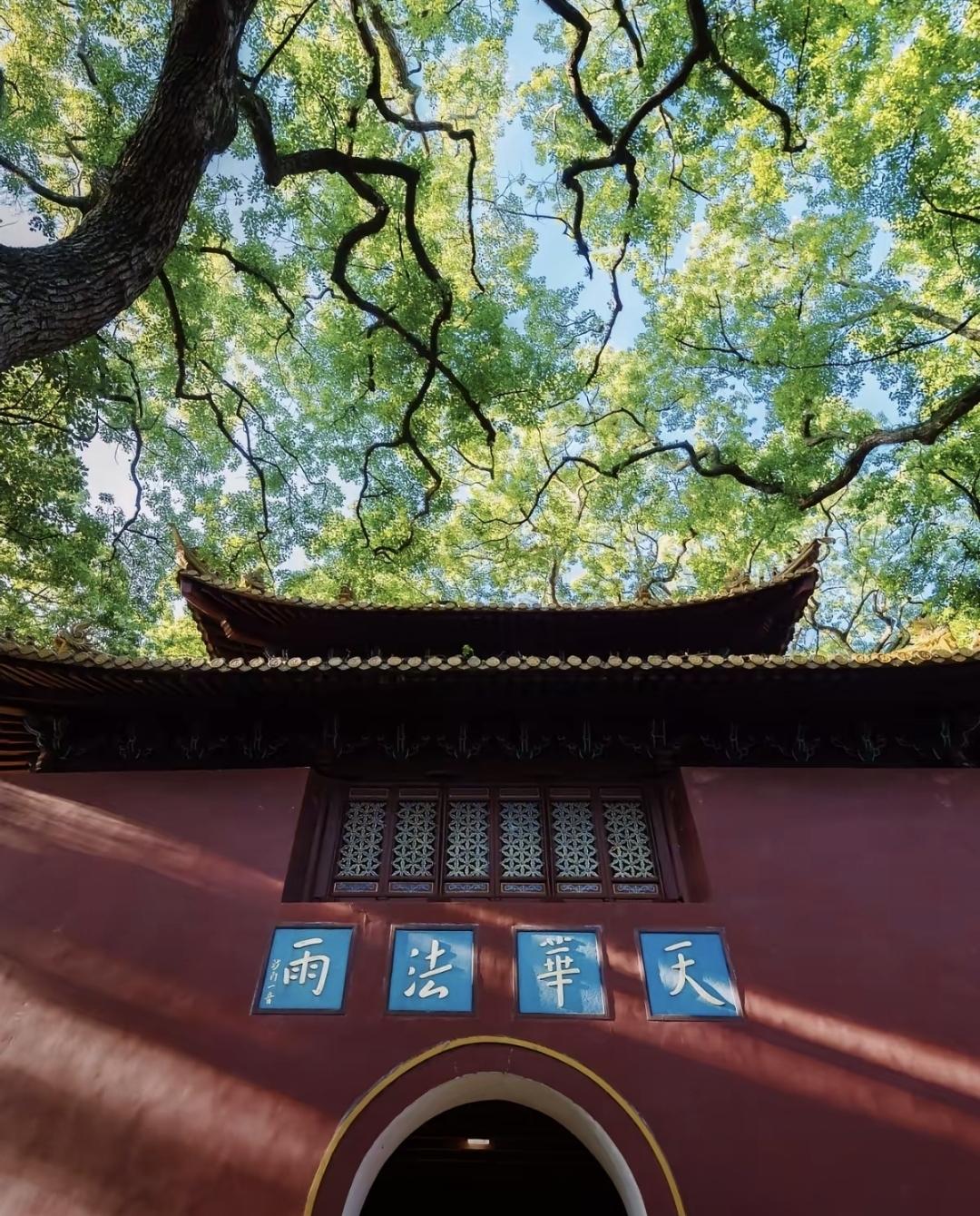 1893年底，一个叫高健武夫的日本人剃了头，住进法雨寺。他白天敲钟念经，晚上摸黑