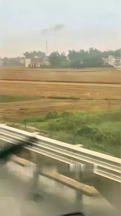 今年出了个新词叫“割四赔五”说白了就是专门坑收割机师傅的套路！啥意思