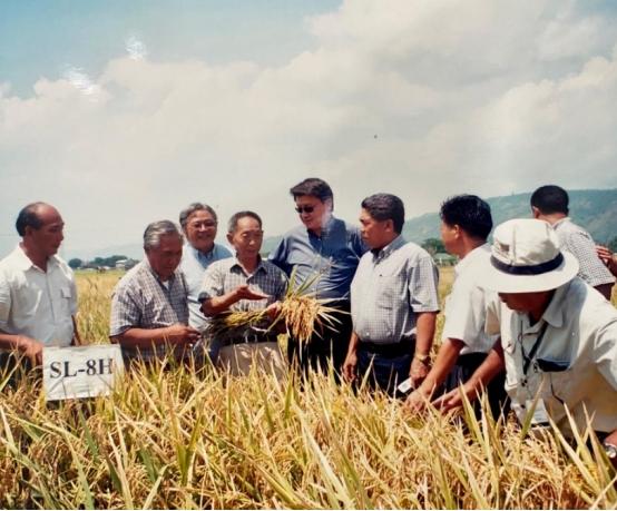 “应该立即死刑！”央视新闻曾曝光了一起惊天大案：我国杂交水稻之父袁隆平教授的心血
