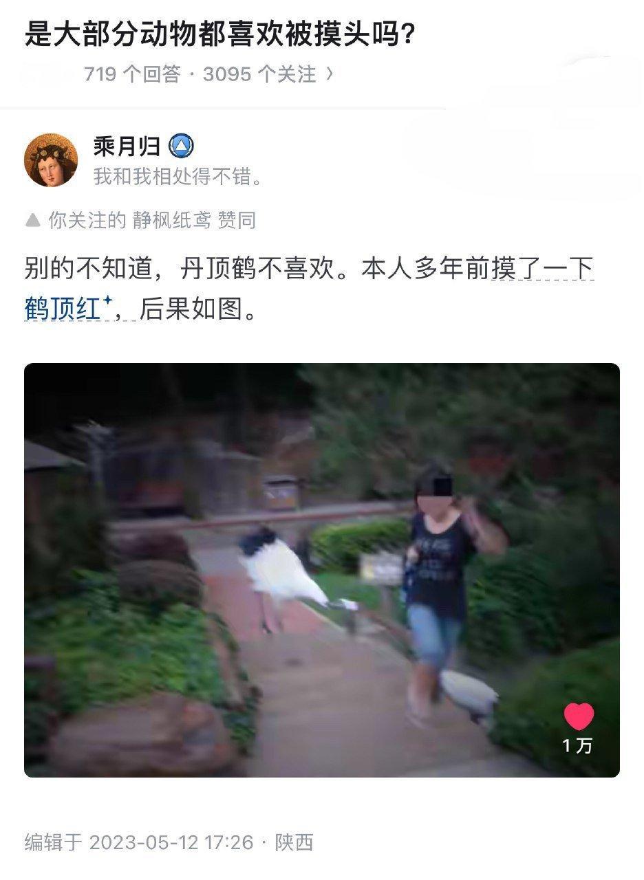 是大部分动物都喜欢被摸头吗？