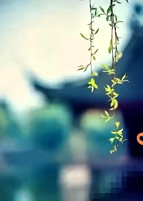 谁懂啊！房贷倒挂的苦，真是压得人喘不过气！100万买的房，首付30万砸进去