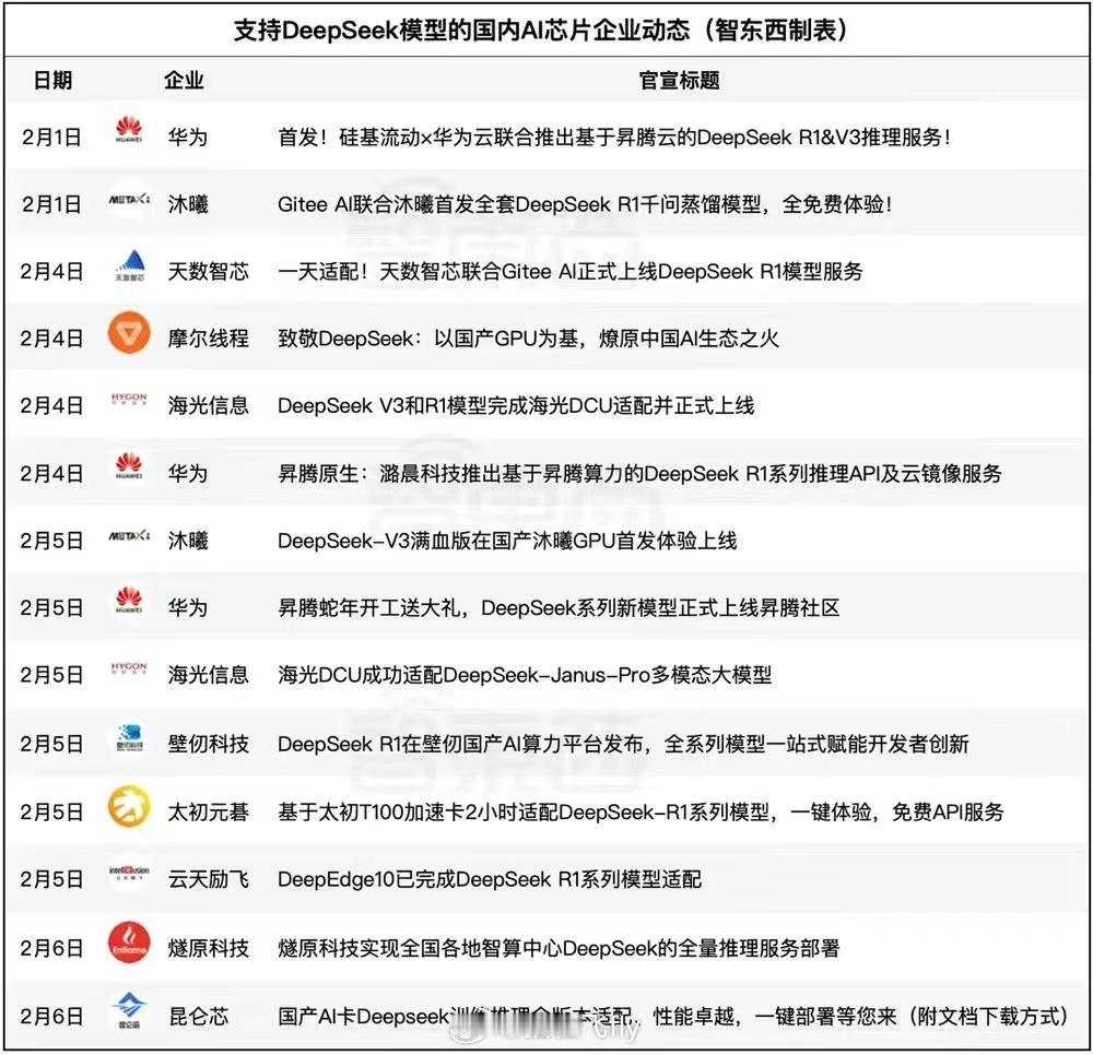 支持DS的国产AI芯片一览