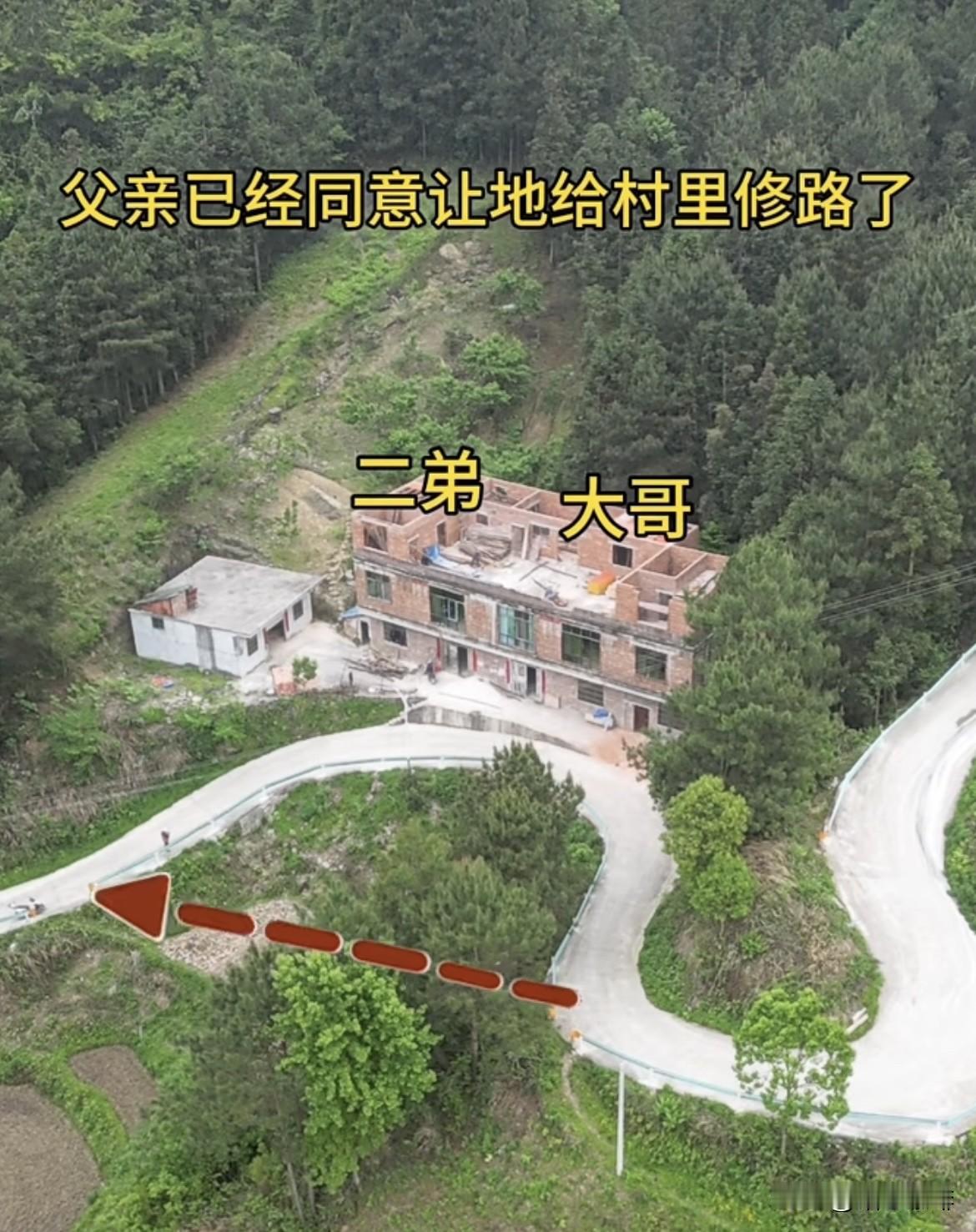 父亲已经同意让地给村里修路了，最后兄弟俩为了留下这几棵树，却选择给大家这样绕