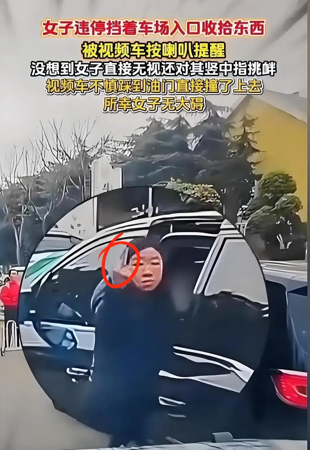 女司机竖中指的行为属于寻衅滋事，最低将面临15天拘留，并处3000元罚款。