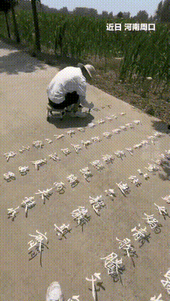 “火到人民日报！”河南周口，一名男子痴迷书法，在家苦练十多年，走到乡村小路上写了