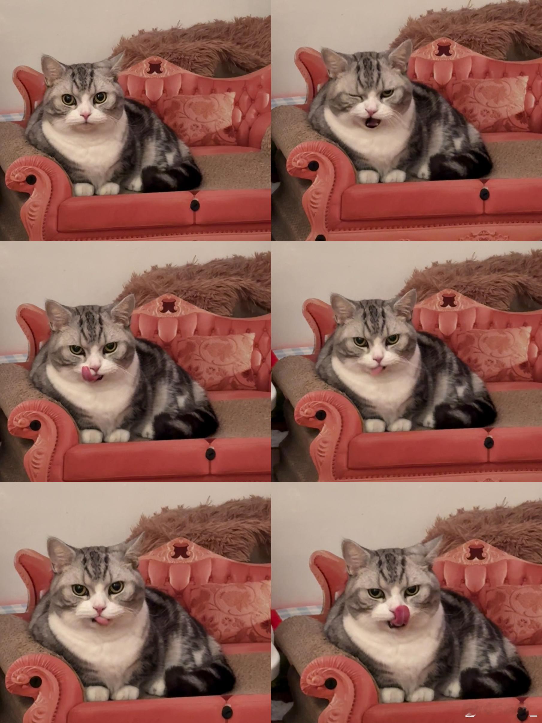 你舌头这么忙吗