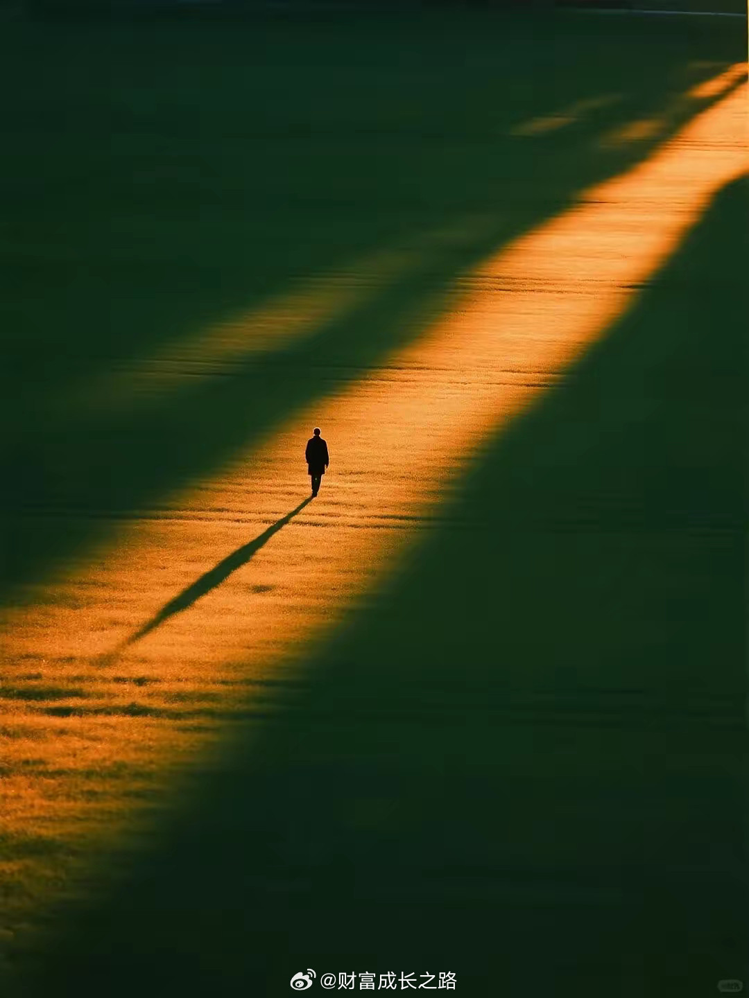 光芯片是GPU之间对话的翻译官，缺了它算力就跑不起来。2026年全球需求3.5亿