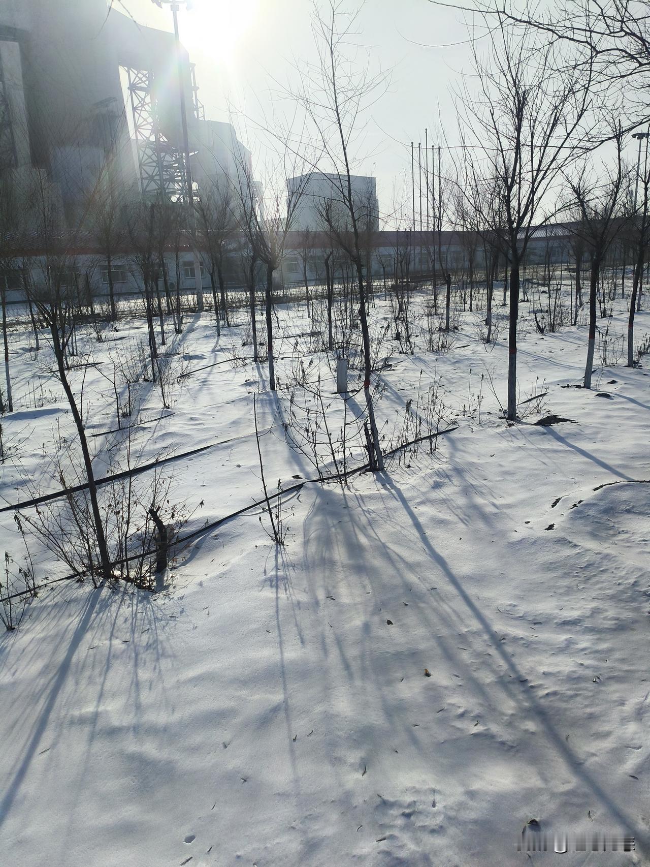 辞职报告已交，月底走人。我本意是干到年底走，老板意思是这个月底就走，因为2025