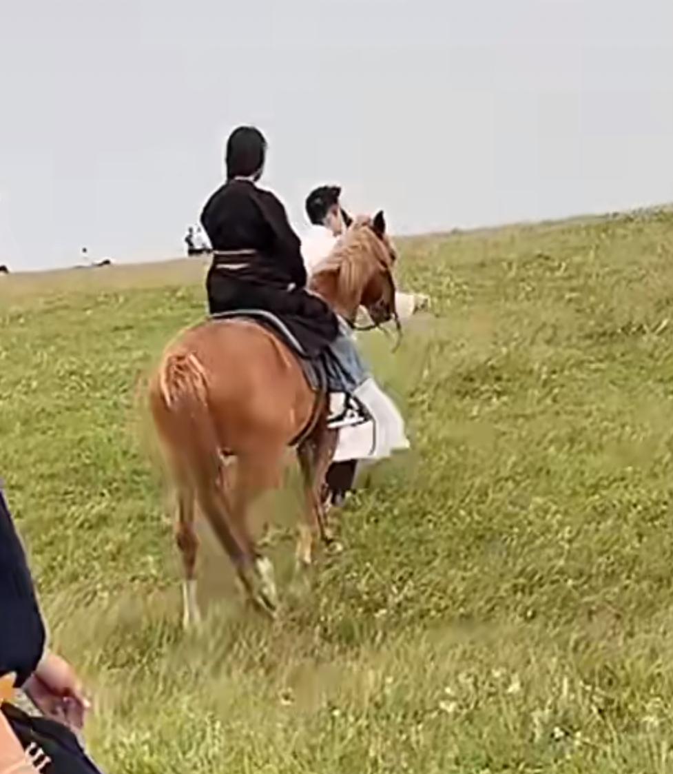 汪小菲终于带孩子们来到了大草原！果真是个好父亲。他带着孩子们走一走祖国更美丽