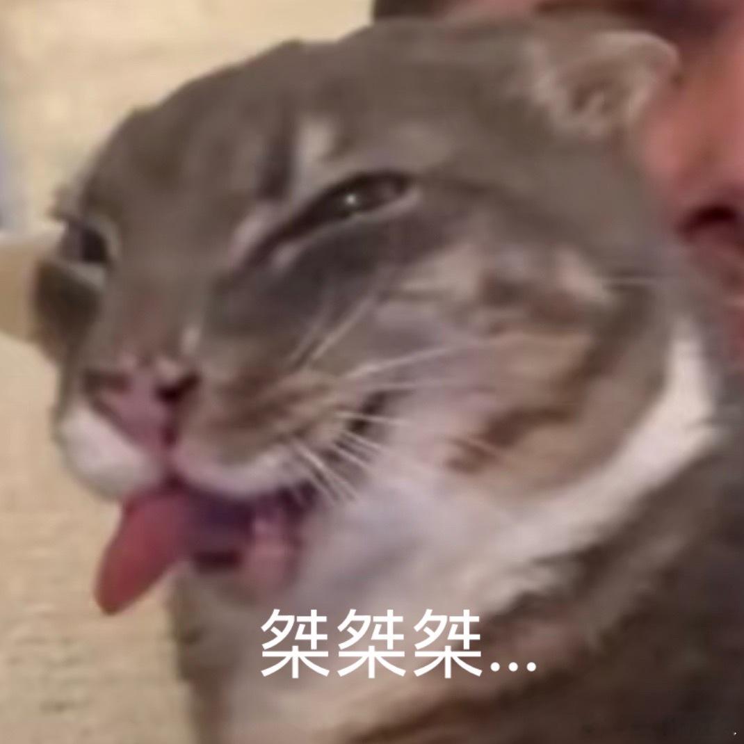 看到有人假设棠夫人当时如果生的是儿子会怎么样？评论区一句“太子命，马扣身”笑的我