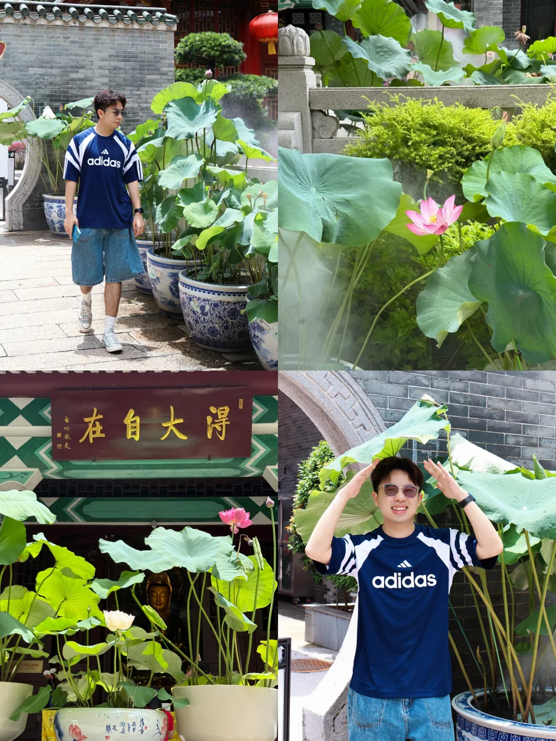 🌿六榕寺赏荷｜千年古刹里的夏日限定浪漫