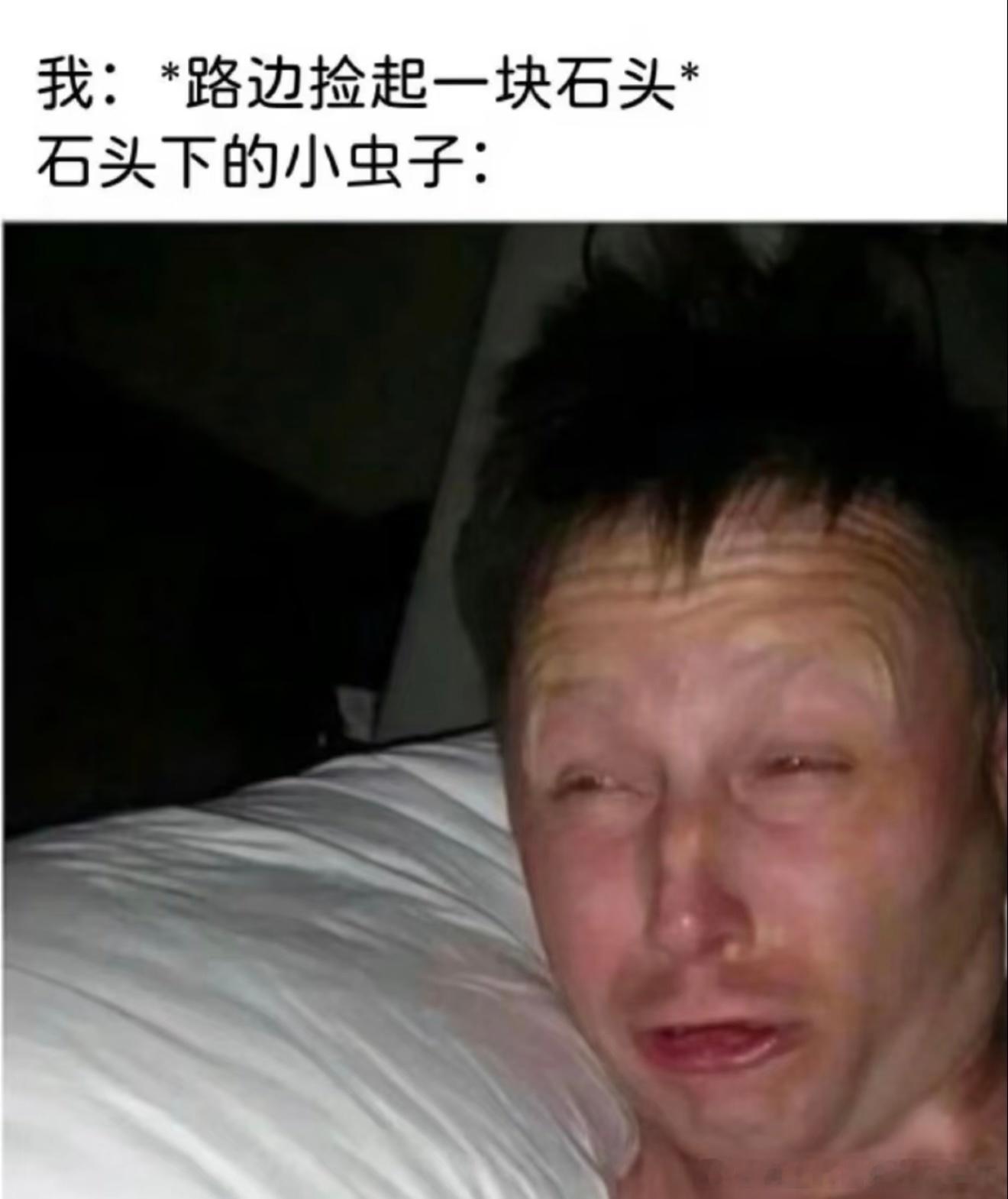 6687虫子：是谁给我吵醒了