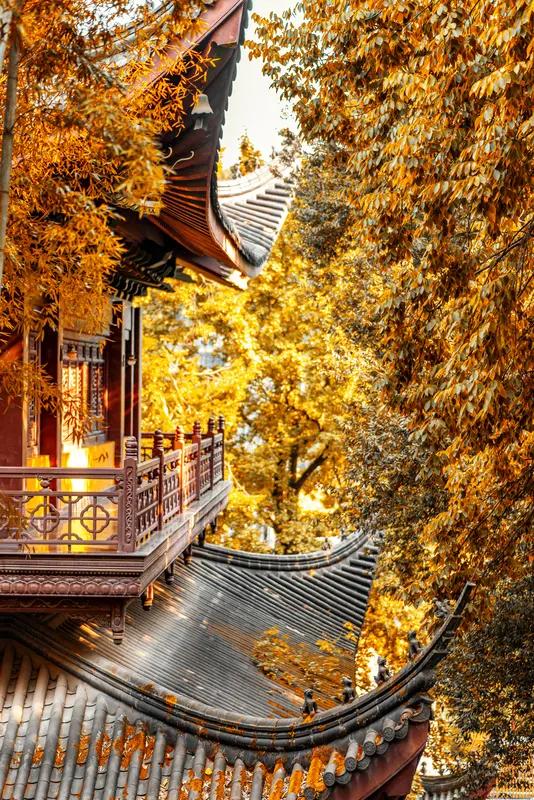 看到“秋乘落叶去”这个上联，瞬间就感觉有股诗意扑面而来，描绘出秋天随着落叶渐渐离