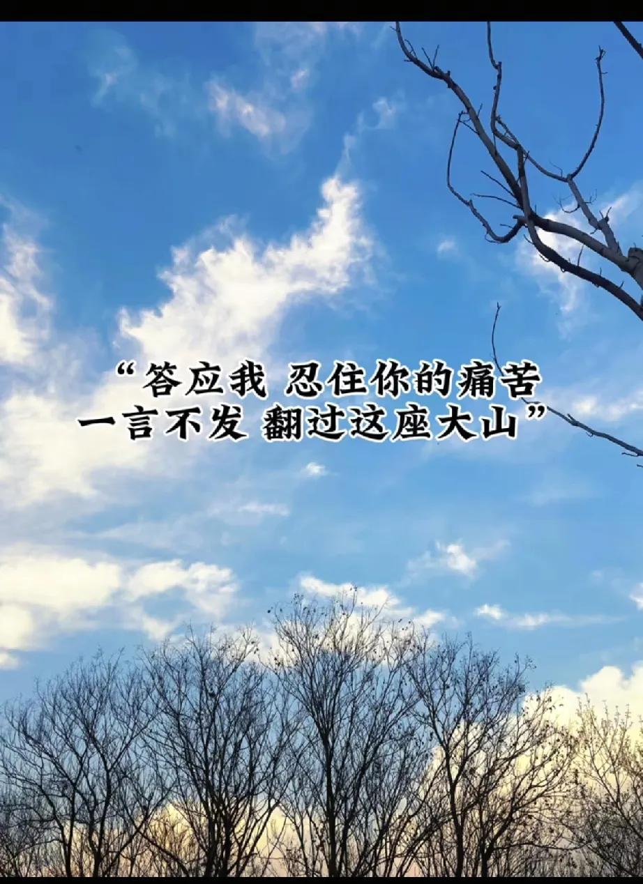 2026年又有汽车品牌确定退出中国市场？真的不是法系…斯柯达已官宣2026年