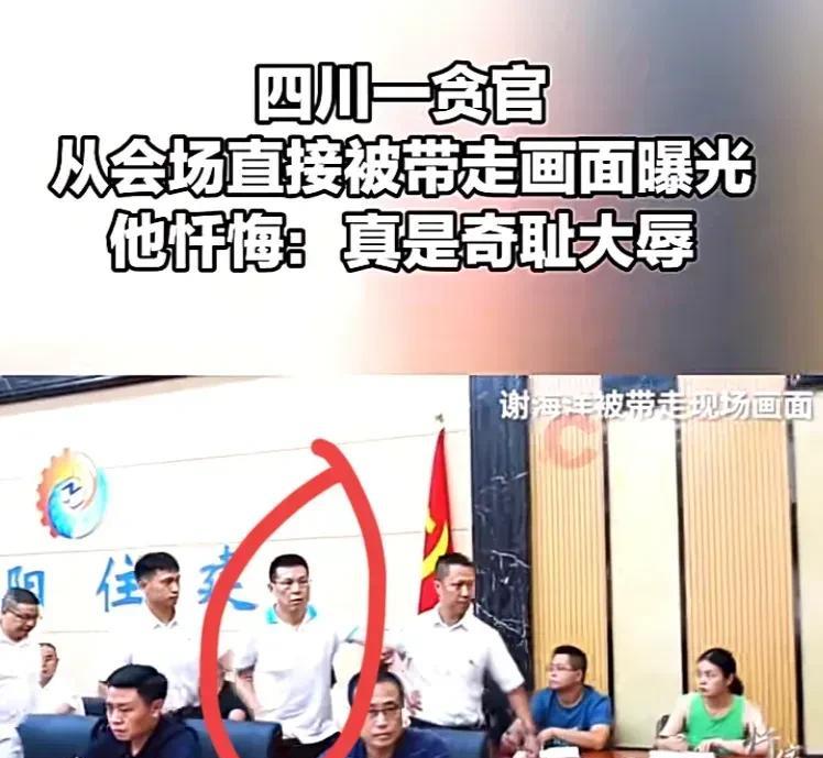 这是非常具有警示教育意义的图片，这位贪官在会议现场被带走了，对其他人也是一个强烈