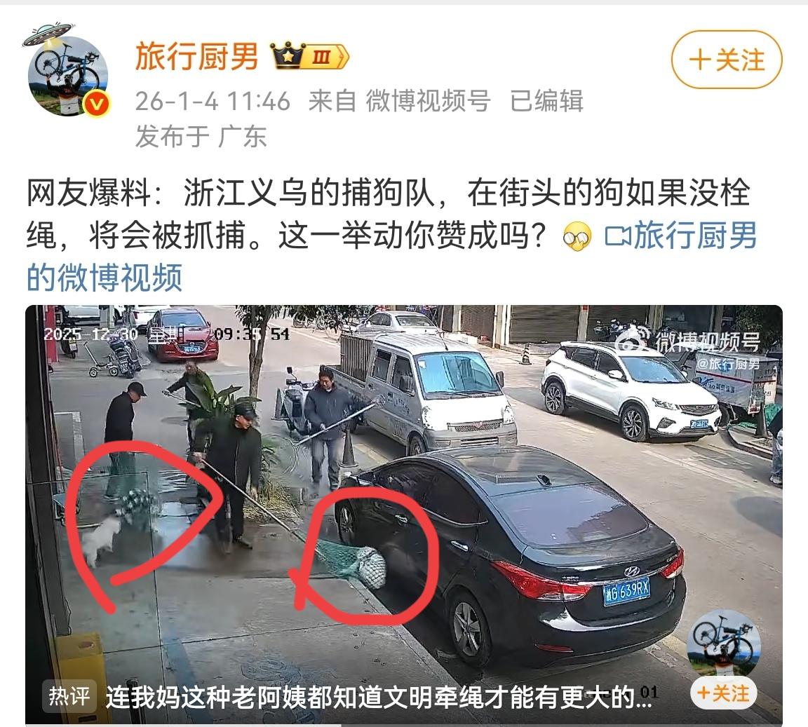 在马路上的狗，只要没栓狗绳就会被捕狗队就地抓走，大家感觉这个解决方法可行吗？