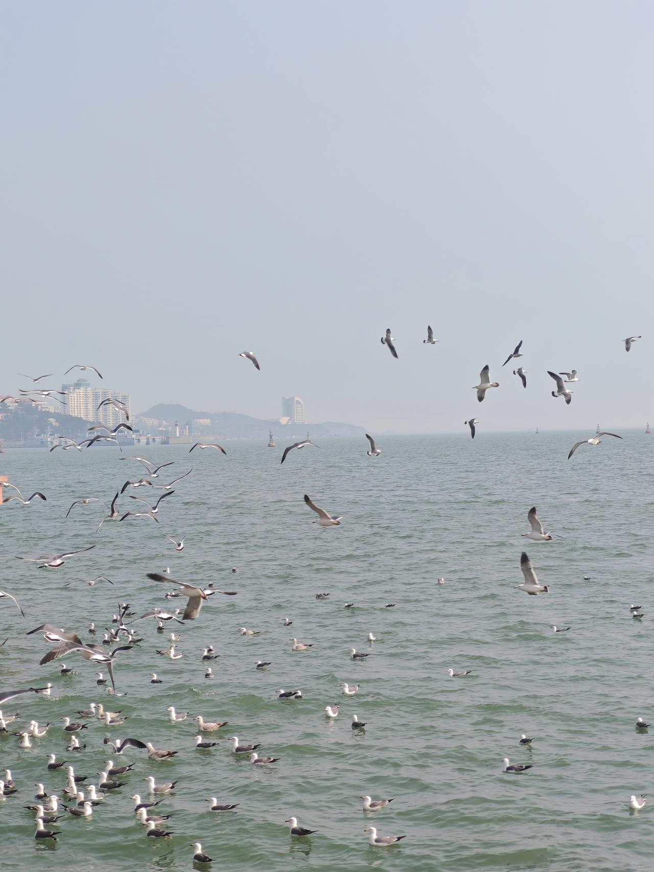 天南地北大拜年天南地北，拜年的方式各不相同。磕头的，鞠躬的，五花八门。