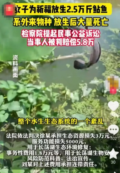 江苏一女子为祈福花9万元买2.5万斤鲶鱼放生，竟然是外来物种“革胡子鲶”！网友：