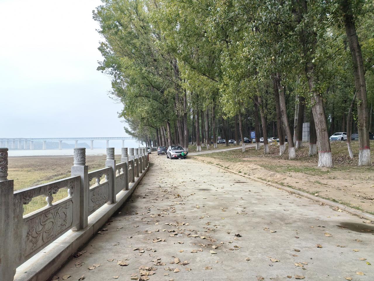 这次三门峡之行，只逛了地坑院和黄河湿地，好多地方没来得及打卡。遗憾没去虢国博物