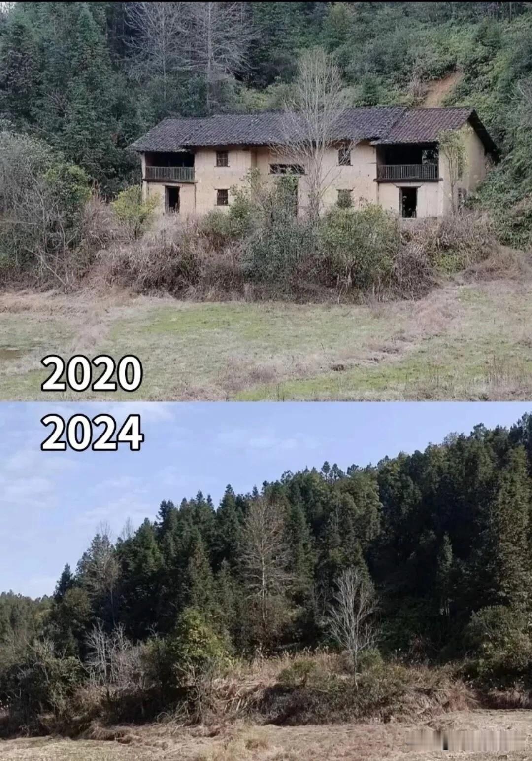 论房子有人住的重要性！