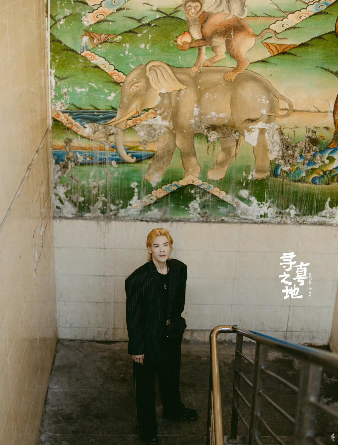 向佐风格大变额……