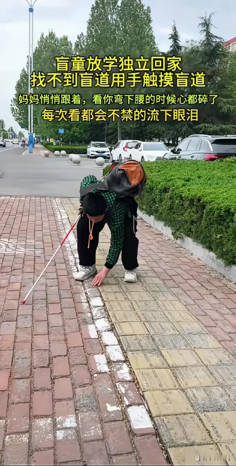 一个盲童放学独自回家，他找不到育道只能弯下腰用手去触摸辨别，看到孩子每一次的弯腰