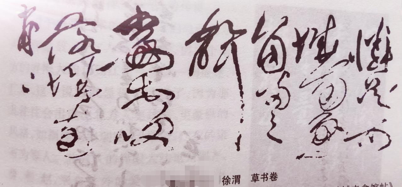 草书之妙，皆凝于徐渭笔端。以《草书李太白诗卷》为例，他以情驭墨，笔势如疾风骤雨般