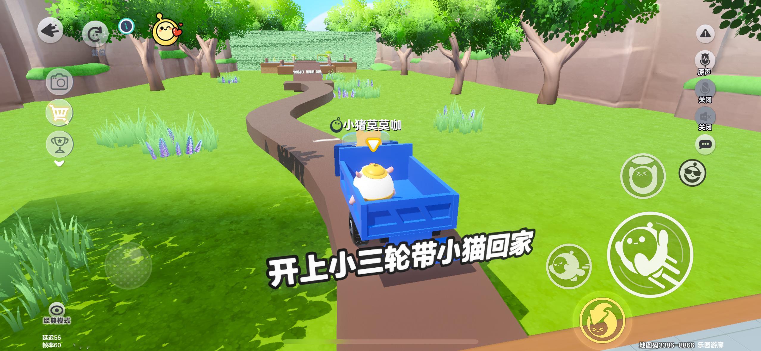 开上小三轮带小猫回家