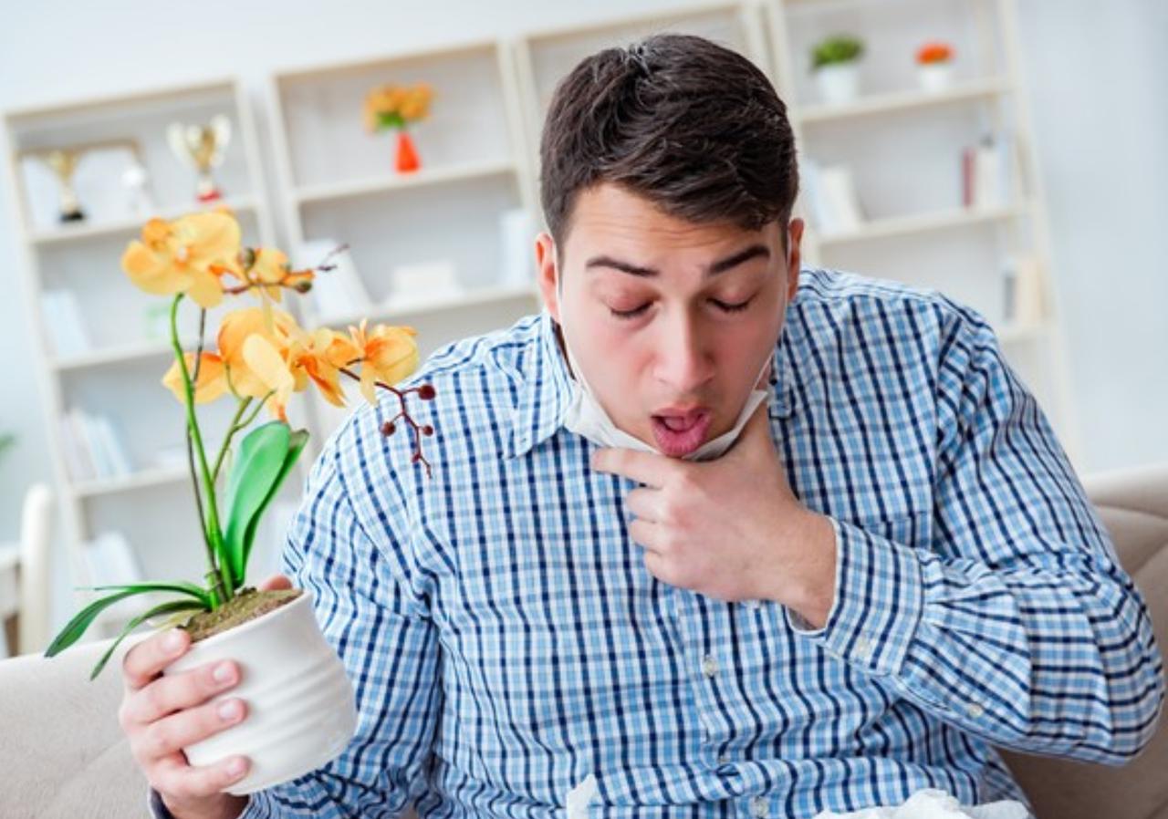 为什么中国没有好的呼吸科医生，能治好我的病，我打开病史一看，神仙都治不好，大部分