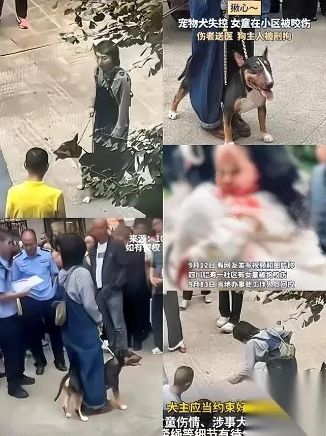 现在最悔断肠的人是眉山那烈性犬主人你猜她最后悔的是啥？才不是怕赔多少