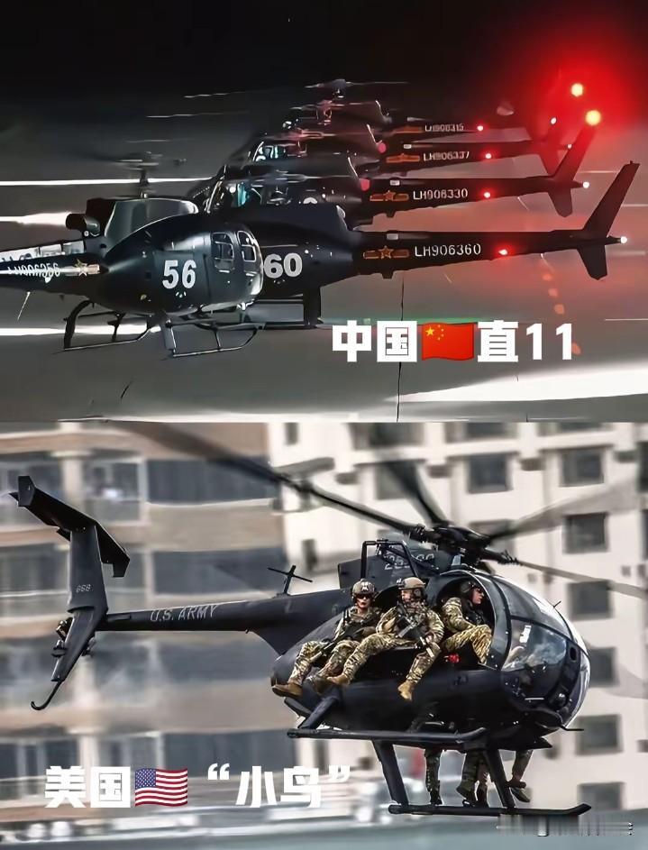 中国的“直11”超轻型直升机，被网友称为中国版的“小鸟”直升机！它也是陆航训练