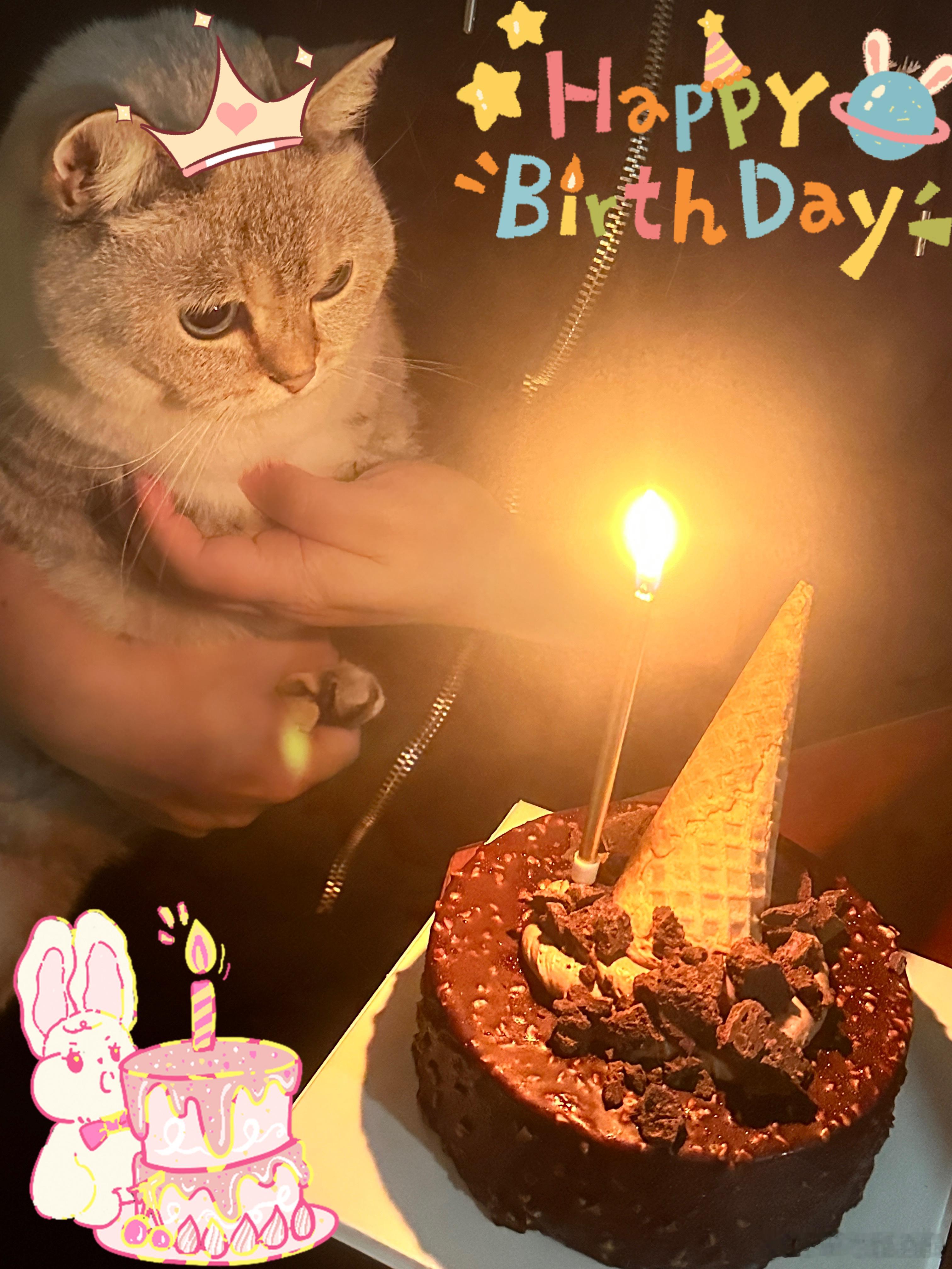 本喵喵今天3⃣️岁咯嘻嘻