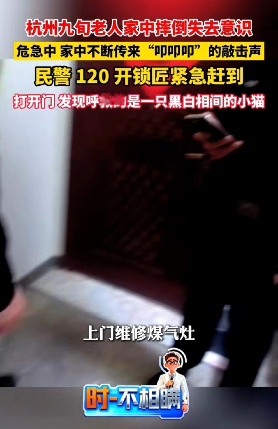 “猫咪立大功了！”在杭州，一位九旬老人在家不慎摔倒昏迷。原本约好上门维修煤气灶的