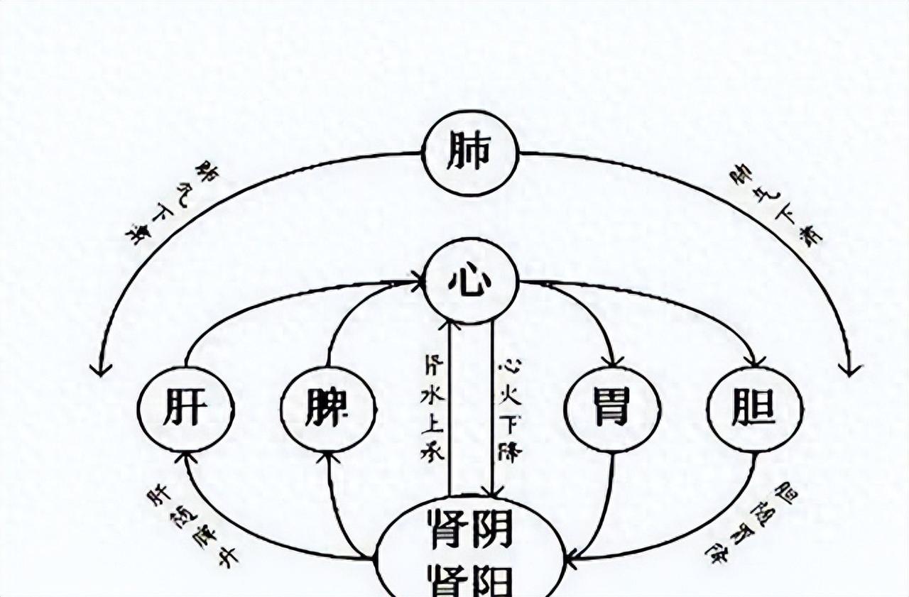 通就是最大的补！体内三气要降，气机才通畅，不然堵出结节、失眠、胃胀、高血压！
