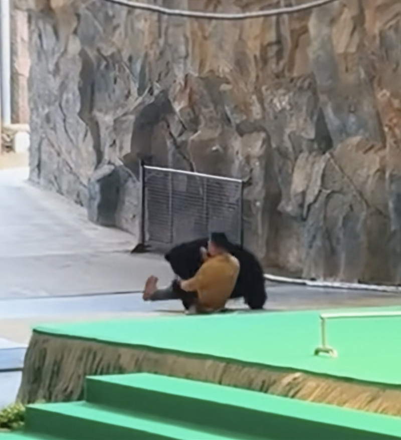 #杭州野生动物世界为黑熊事件致歉#【黑熊突袭驯养员争抢食物，杭州野生动物世界致歉