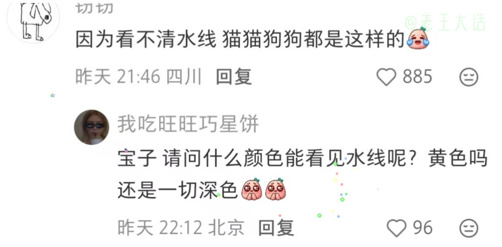 原来小狗也会用自己的方式，和世界认真相处。