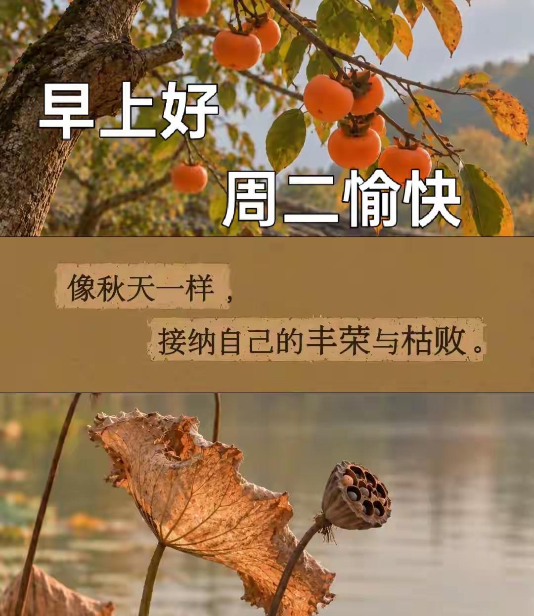 [玫瑰]早上好[玫瑰]新周启程，相逢便是美好。网络一线牵，问候暖心田。时常