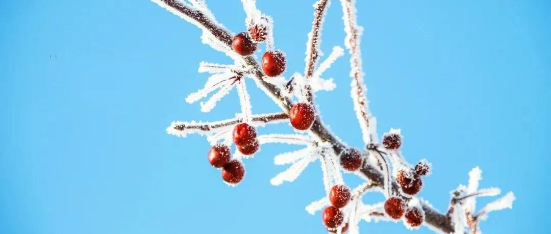 我妈说，冬天棉衣、羽绒服、大衣都要少洗的。每次我要洗时，我问她洗不洗，她说不