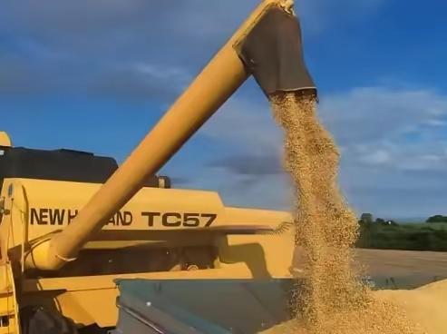 万一阿根廷,美国,巴西三国大豆全部涨价,中国怎么办?这可不是杞人忧天,20