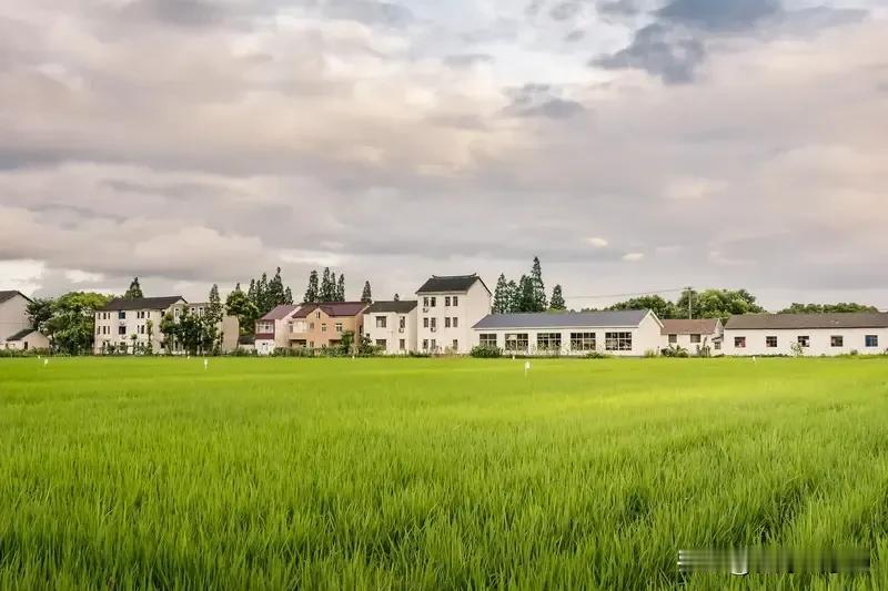 不是老农民在农村无法养老，过不下去，在农村有房有地，饿不死的。高喊活不下去的大