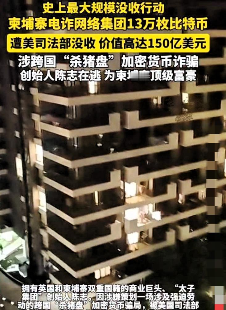 电诈头子辛辛苦苦割了一辈子韭菜，攒了150亿美金。正准备金盆洗手，上岸享受人生
