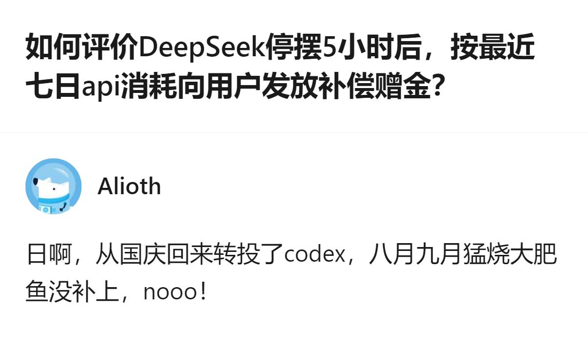 DeepSeek因2026年10月15日的5小时API服务故障，按用户账号10.