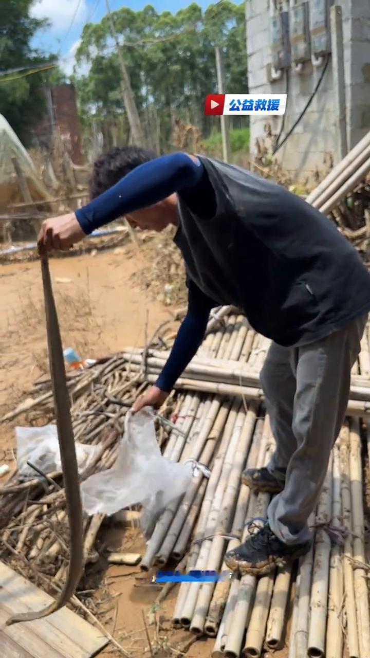 太热了，刷不完了。还有，打开看一下，这里看到了吧？好几条，很多，四五条。这全部都