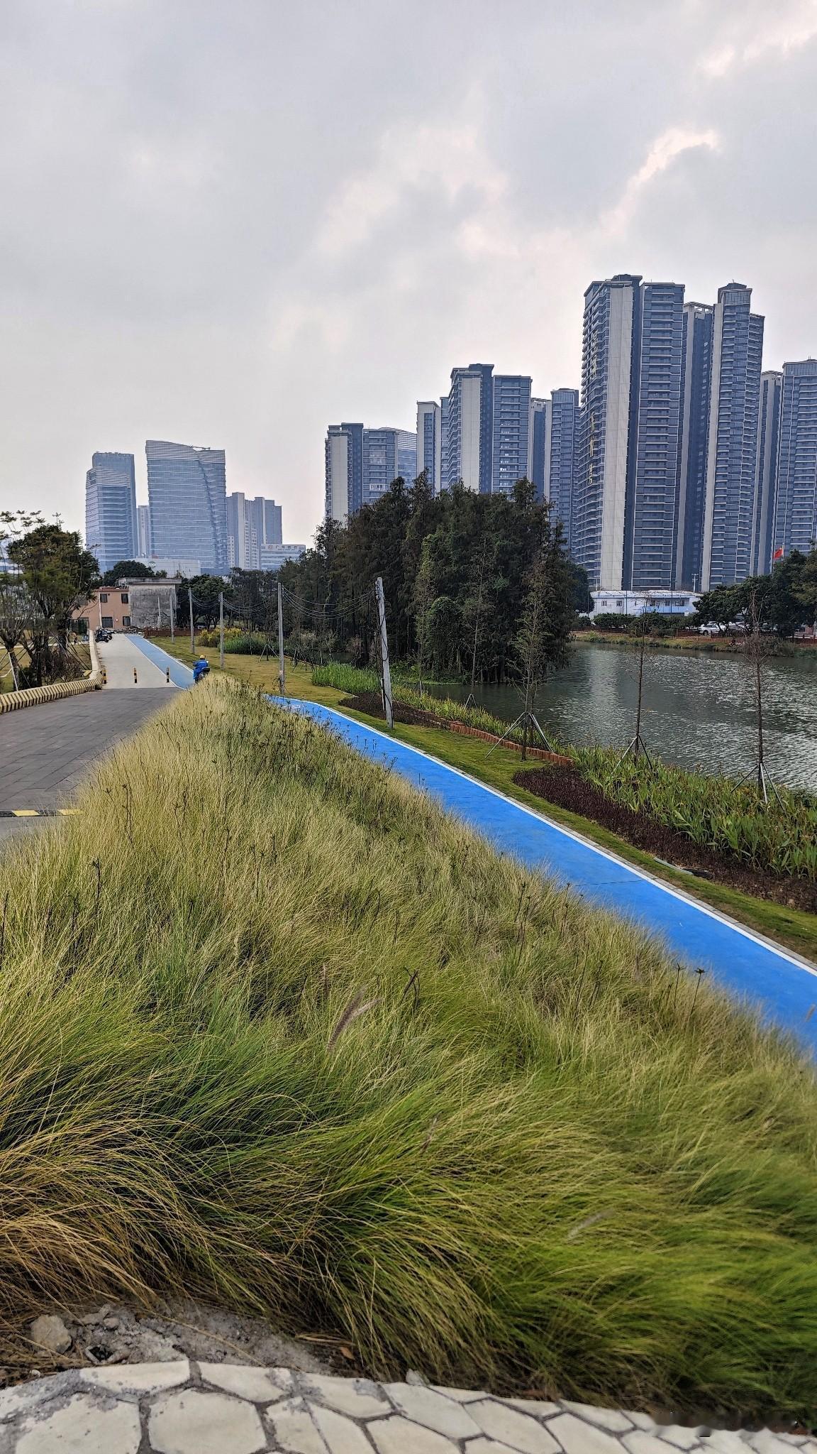 【图赏南沙】你敢信在蕉门，竟然有这么一个宁静的地方，我可以在这边发一下午的呆。