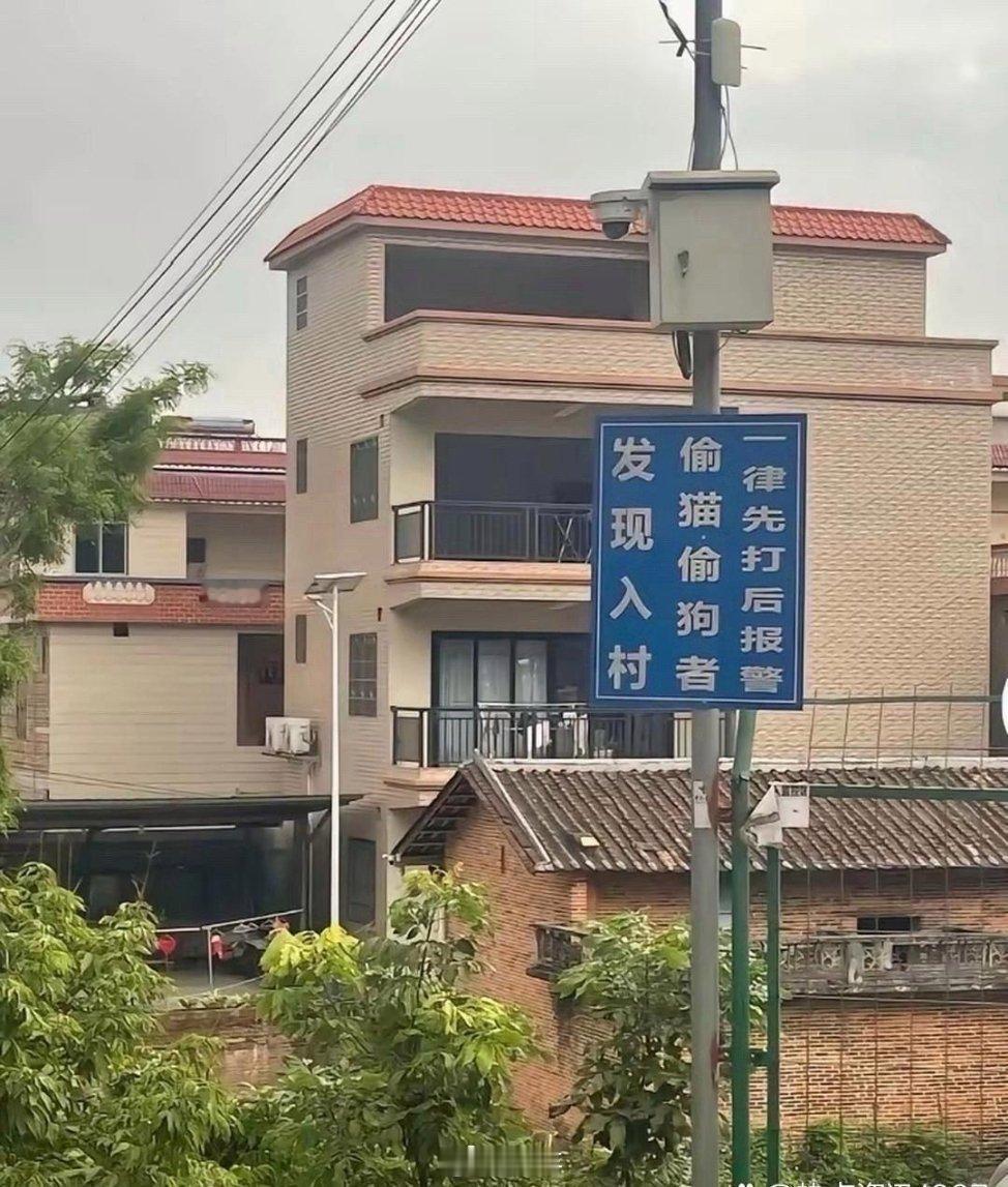第一次见到这么霸气的村口警示牌！牌子上写得清清楚楚，偷猫偷狗进村，一律先打后报