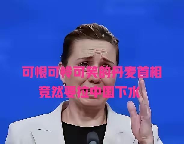可恨可怜可笑的丹麦首相！丹麦首相，一个女的，对着全世界放话：美国你要是敢动格陵